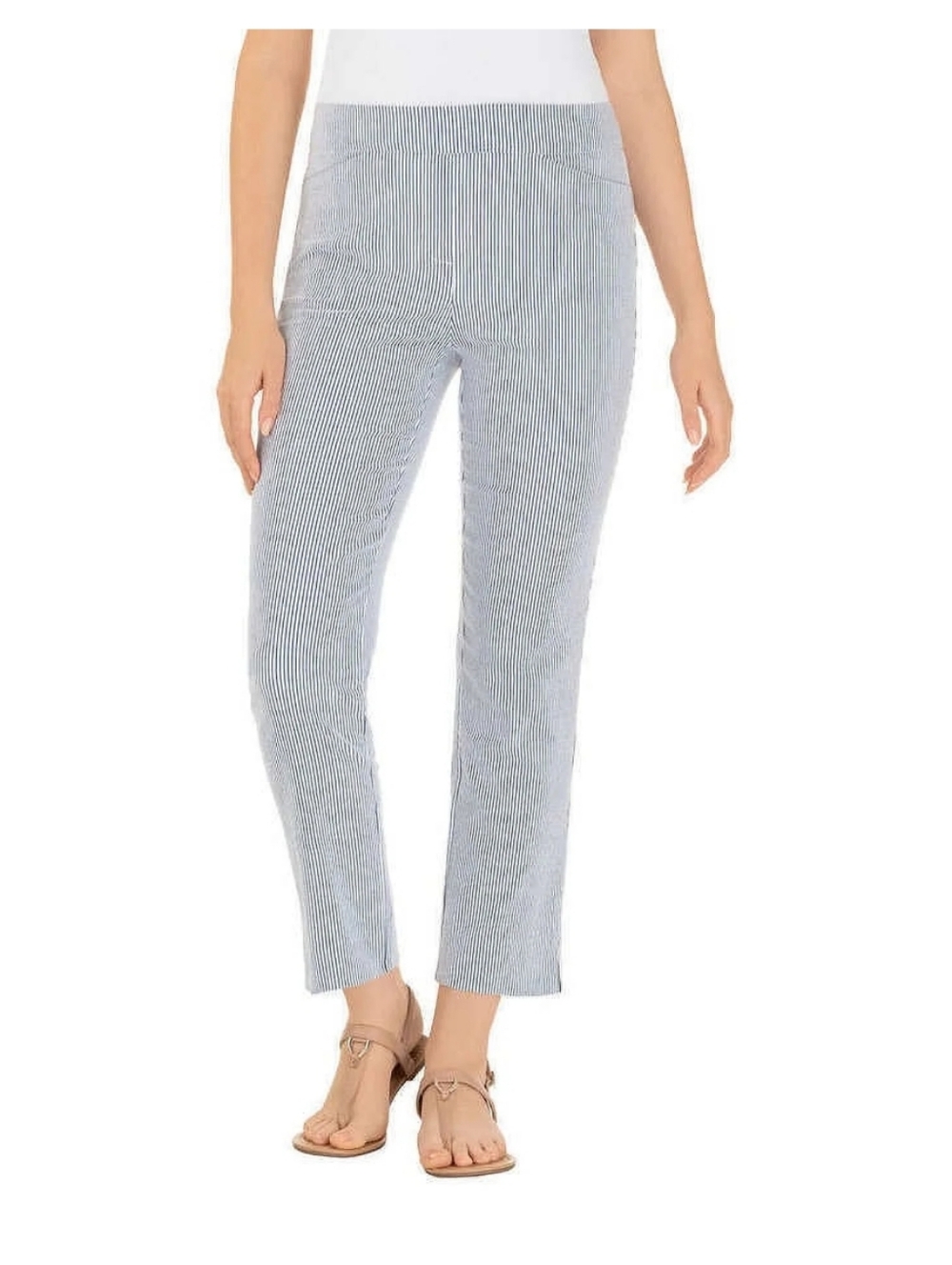 Cropped Pull-On Ankle Pants in Light Blue Stripe Hillary Radley Size S Nwt